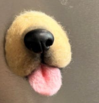 Felted Pet Whisker Magnet 🐾