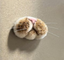 Felted Pet Whisker Magnet 🐾