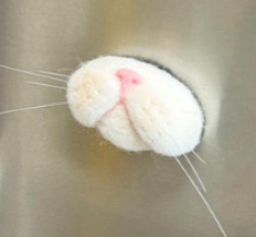 Felted Pet Whisker Magnet 🐾