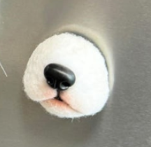 Felted Pet Whisker Magnet 🐾