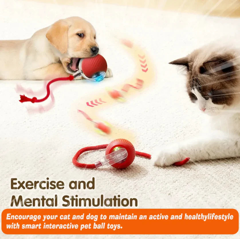 Interactive Pet Ball 🐾