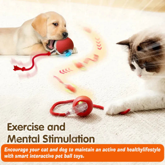 Interactive Pet Ball 🐾