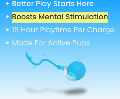 Interactive Pet Ball 🐾