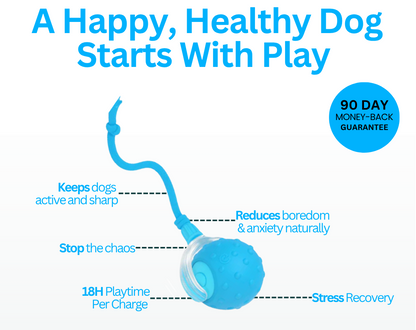 Interactive Pet Ball 🐾