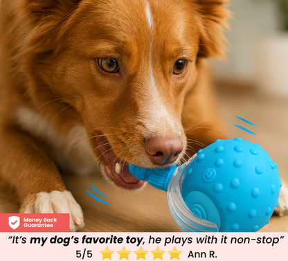 Interactive Pet Ball 🐾