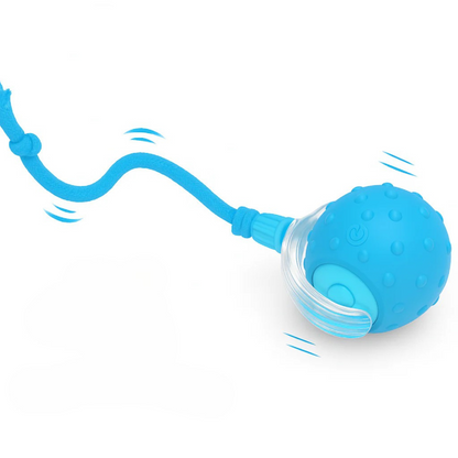 Interactive Pet Ball 🐾