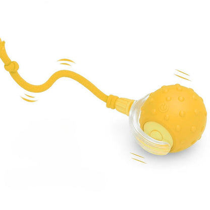 Interactive Pet Ball 🐾