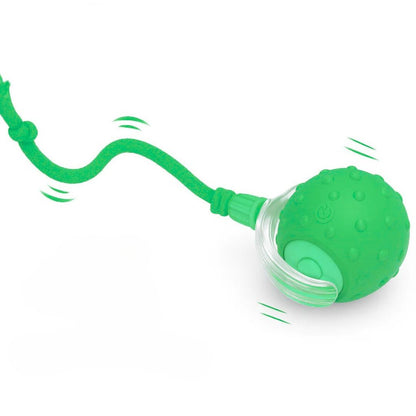 Interactive Pet Ball 🐾