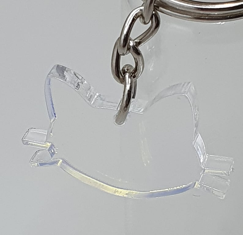 Cat whisker keepsake bottle 🐾