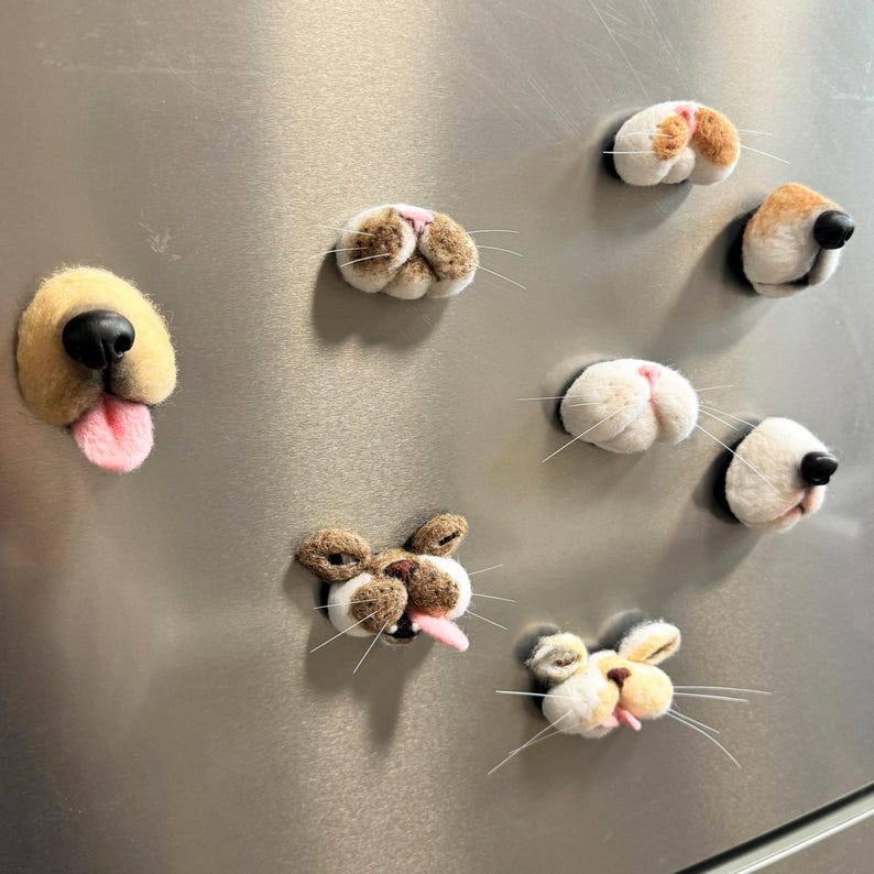 Felted Pet Whisker Magnet 🐾