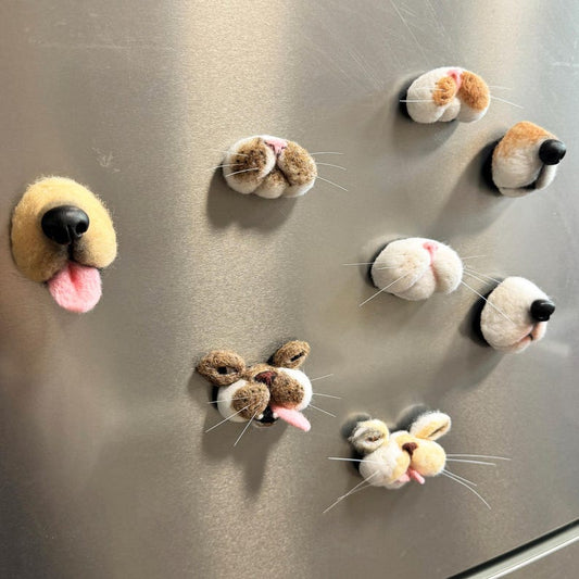 Felted Pet Whisker Magnet 🐾