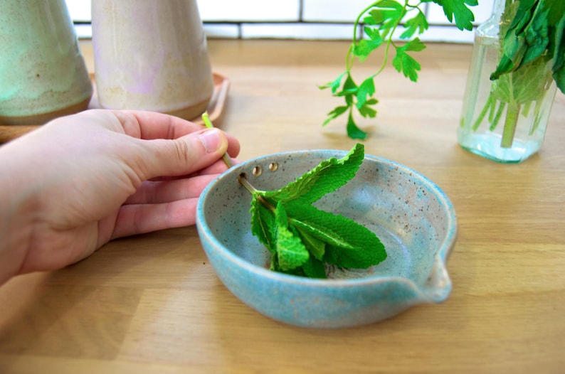 Greenish blue garlic grater plate with herb stripper and spout in matte speckled finish